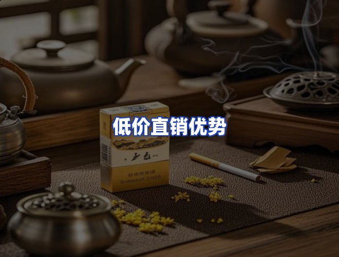 服务优势